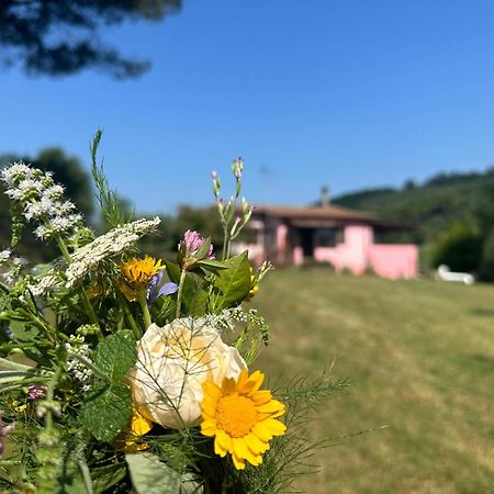 Agriturismo Campolungo Sant'Ermo ภายนอก รูปภาพ