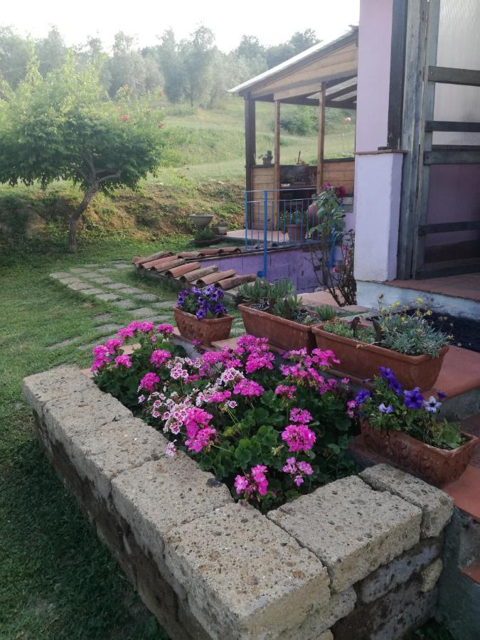 Agriturismo Campolungo Sant'Ermo ภายนอก รูปภาพ