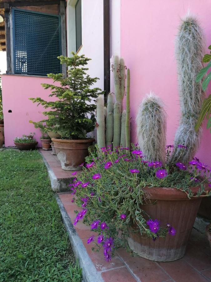 Agriturismo Campolungo Sant'Ermo ภายนอก รูปภาพ