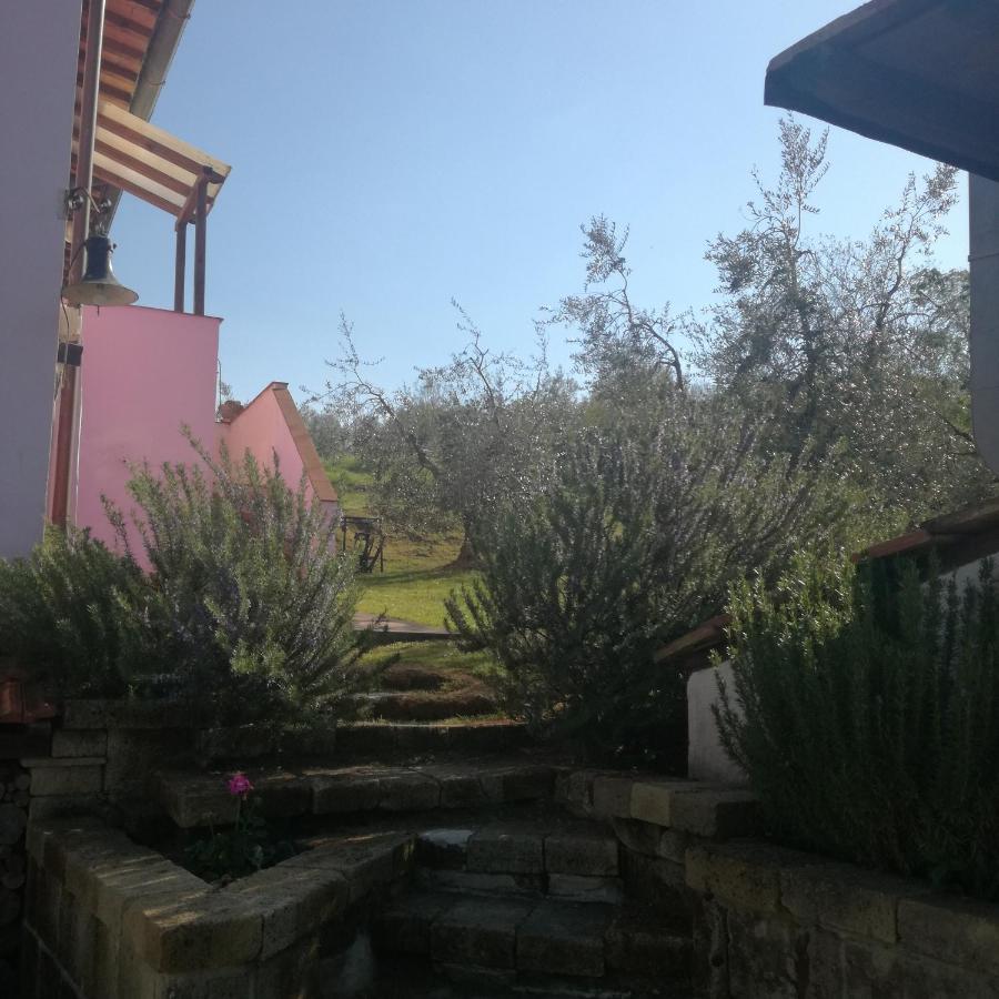 Agriturismo Campolungo Sant'Ermo ภายนอก รูปภาพ