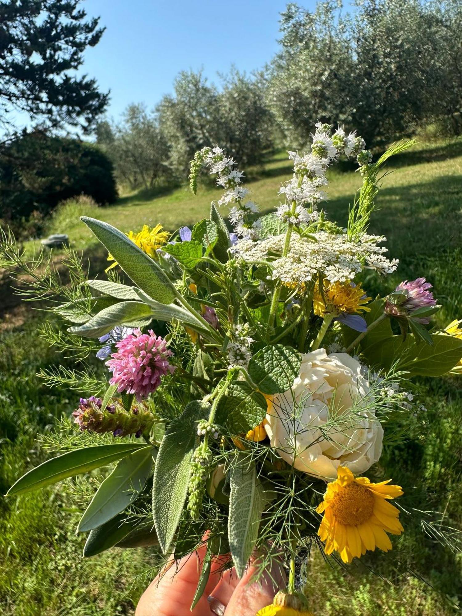 Agriturismo Campolungo Sant'Ermo ภายนอก รูปภาพ